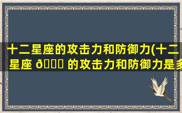 十二星座的攻击力和防御力(十二星座 🐈 的攻击力和防御力是多少)